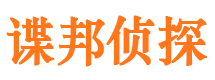 阿勒泰市调查公司